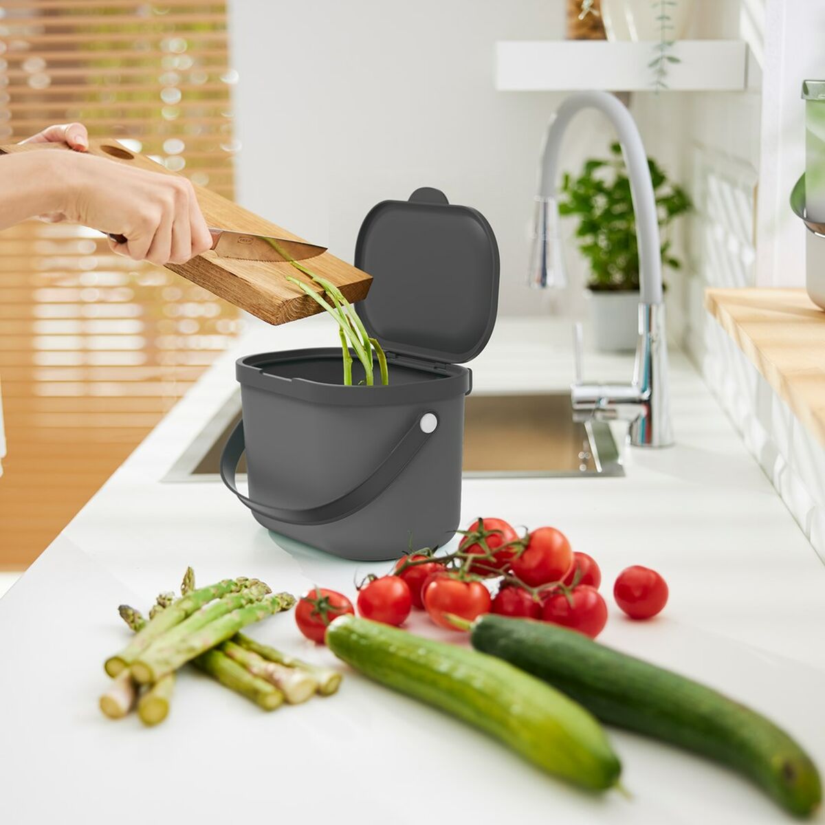 Poubelle recyclage Rotho Anthracite
